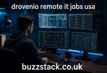 Drovenio Remote IT Jobs