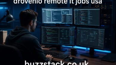 Drovenio Remote IT Jobs